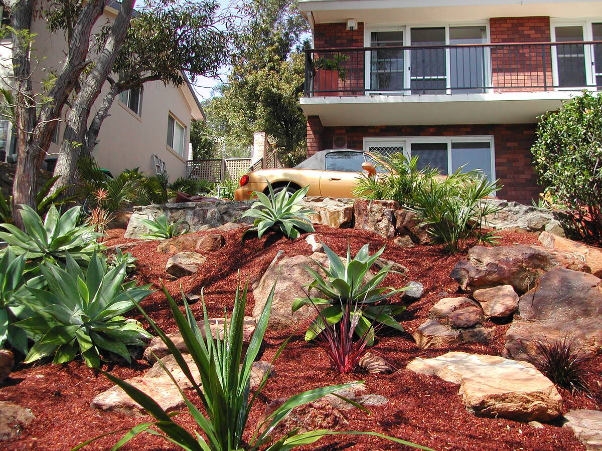 Agaves and cordylines planted among sandstone boulders, Cromer