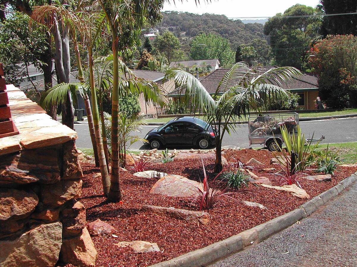 Advanced palms and boulder garden overlooking the street in Cromer