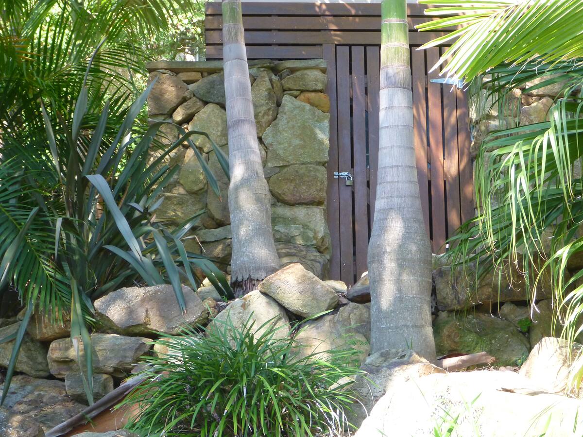 Matured tropical garden with palms against a sandstone wall
