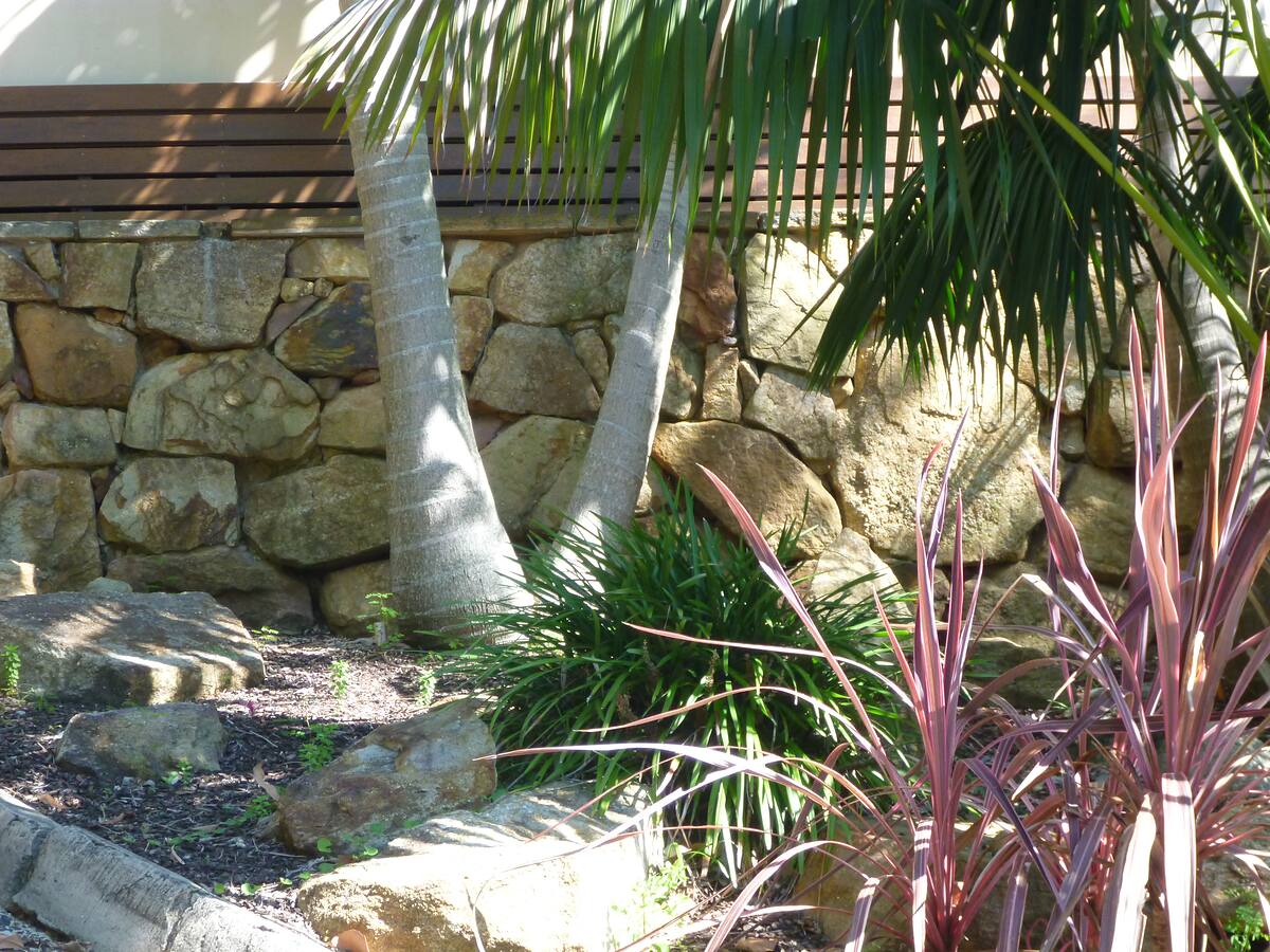 Palms and cordylines softening a sandstone boulder wall