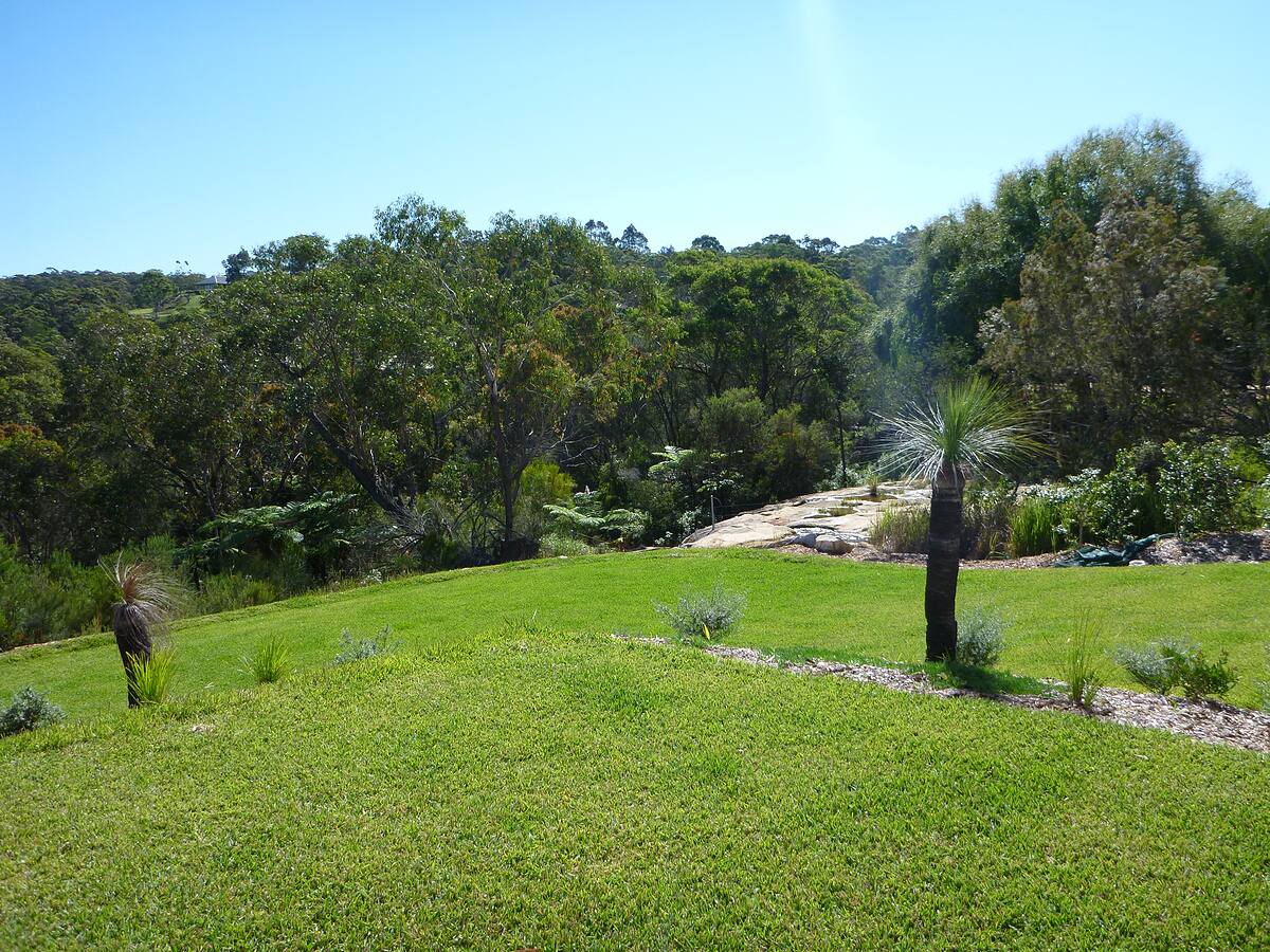 Rolling lawn with native grass trees and bushland backdrop, Duffys Forest