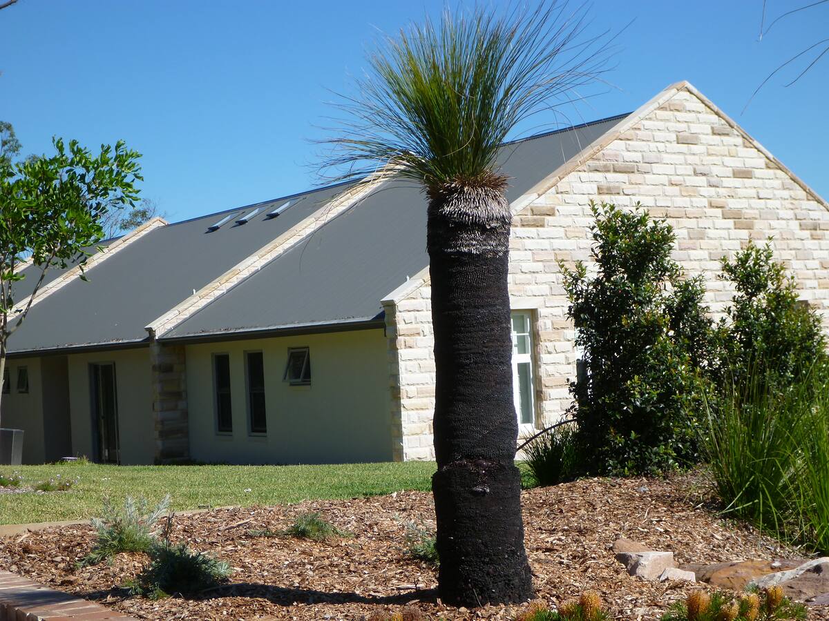 Sandstone home and native grass tree garden on an acreage in Duffys Forest