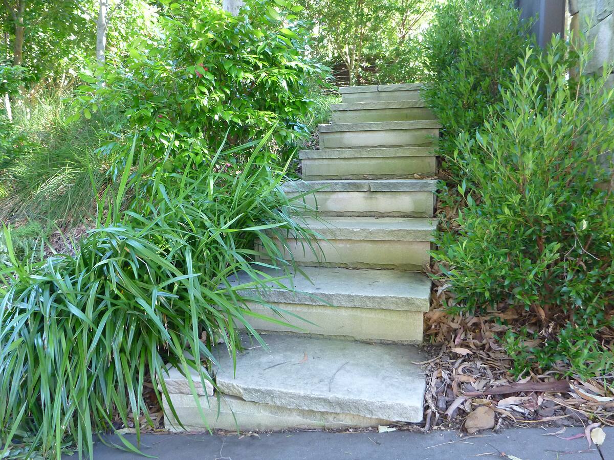 Sandstone steps edged with native grasses