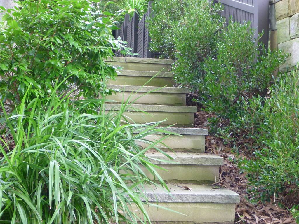 Sleeper steps with planting on a sloping block